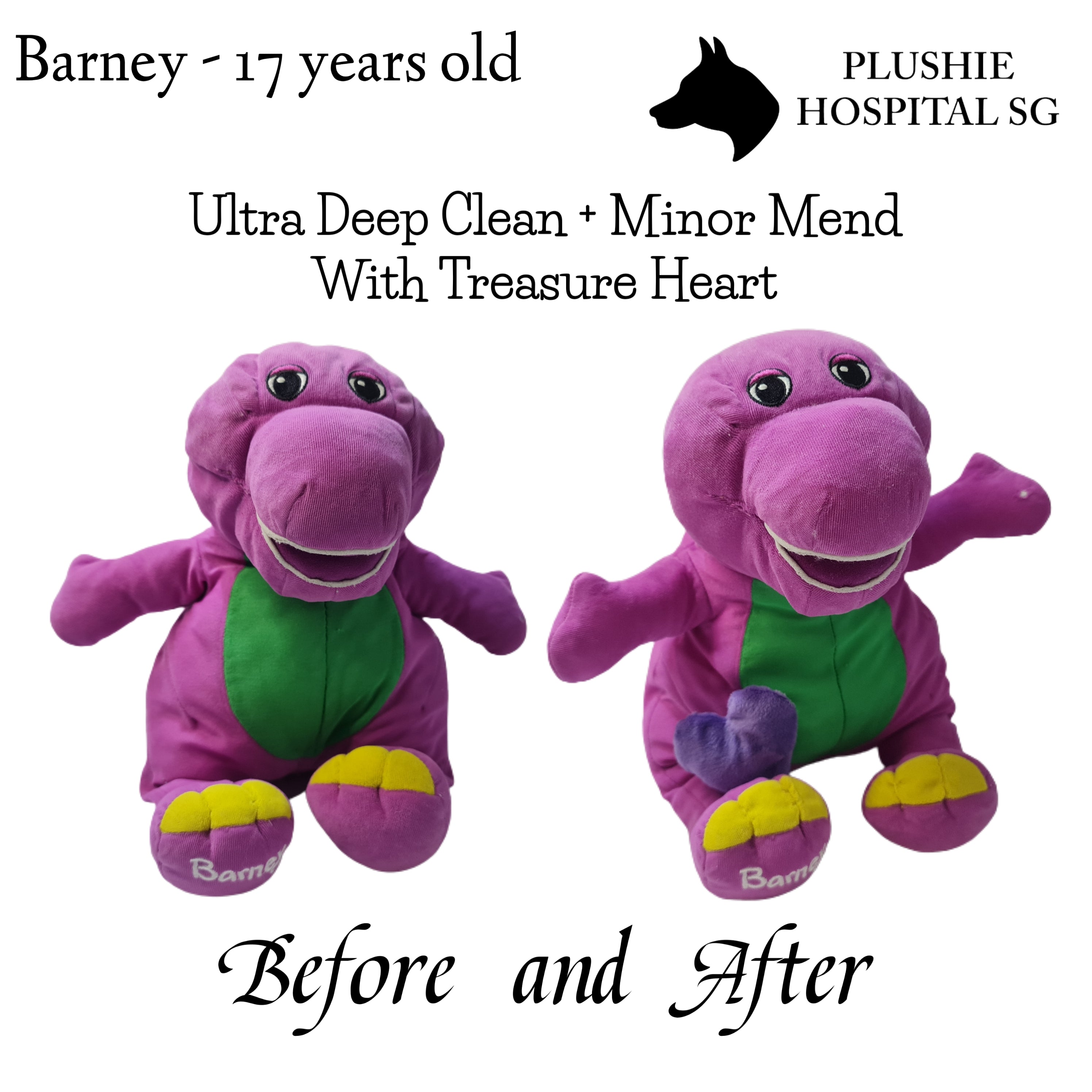 Soft Toy Cleaning Services Ultra Deep Clean with minor mending Plushie Hospital SG